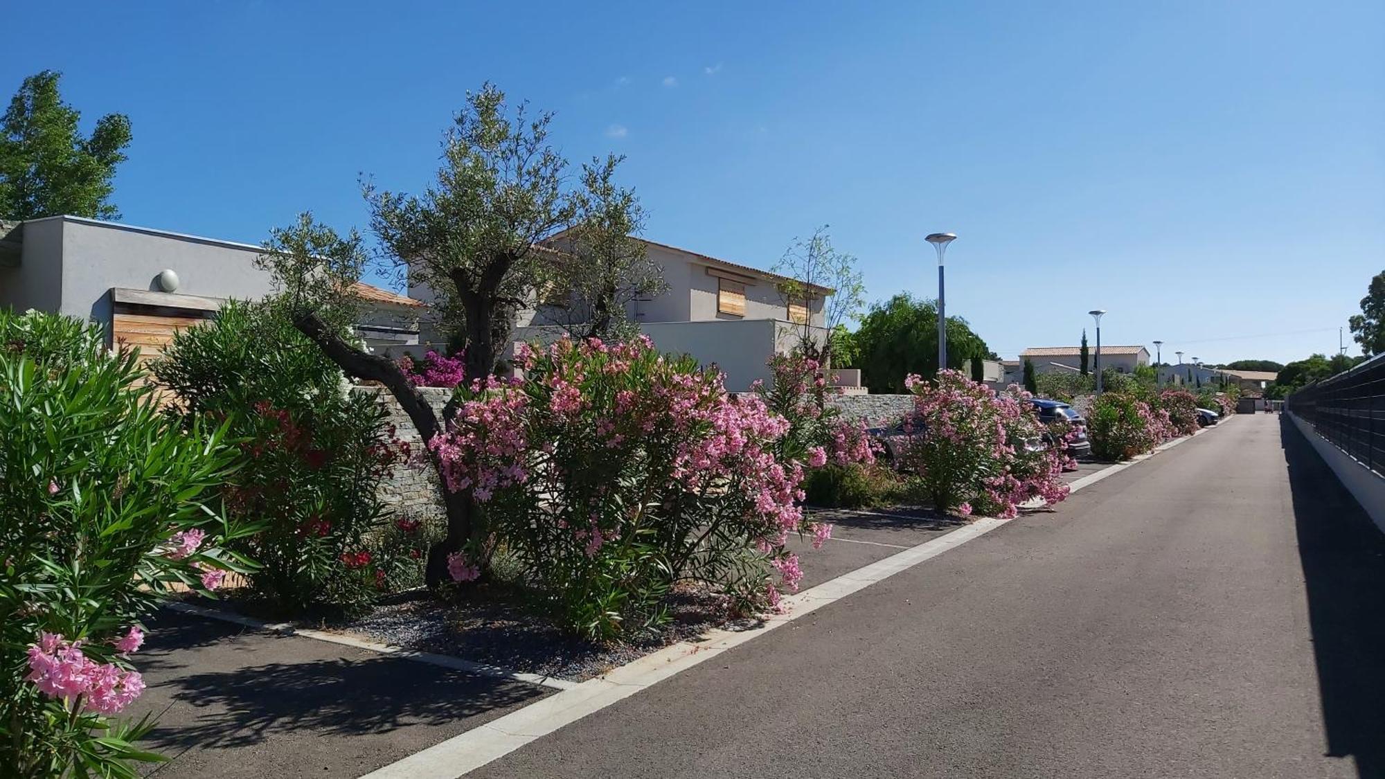 Villa Home Holiday A Cala Rossa Lecci Kültér fotó