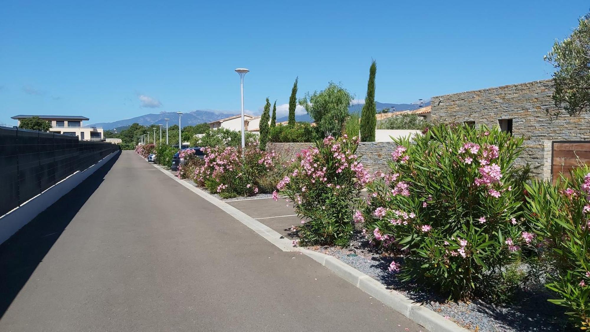 Villa Home Holiday A Cala Rossa Lecci Kültér fotó